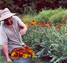 Pete Picking Flowers